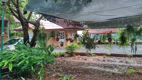 Nhà Hàng Cao Nguyên Xanh