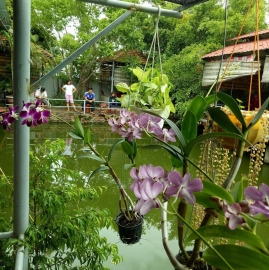 Nhà Hàng Cao Nguyên