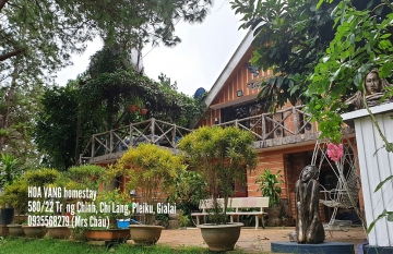 Hoa Vàng Homestay