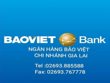 Ngân Hàng TMCP Bảo Việt - CN Gia Lai