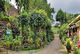 Tithonia Homestay Pleiku