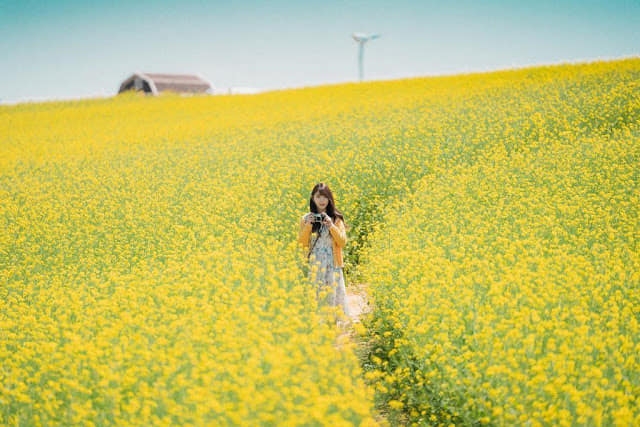 Veta Farm