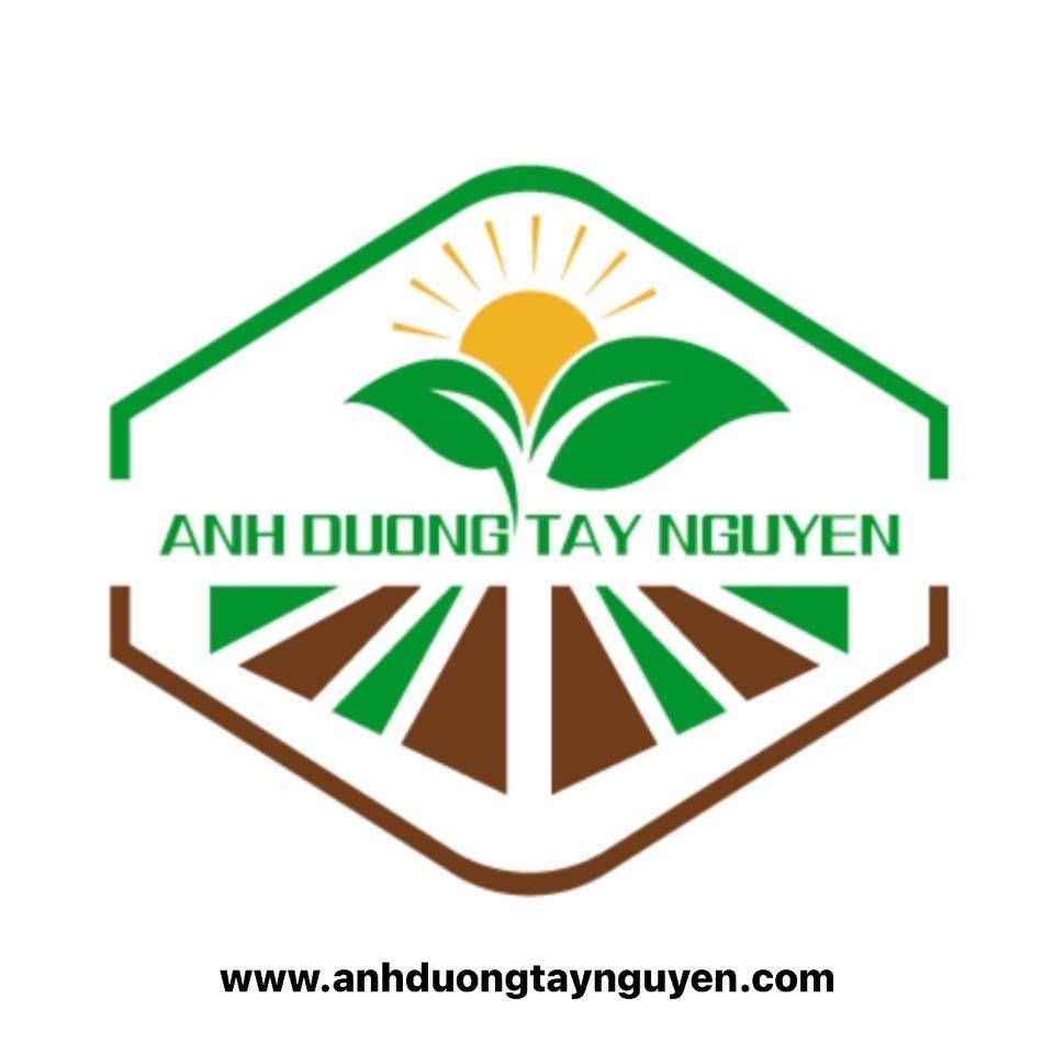 Công Ty TNHH Ánh Dương Tây Nguyên